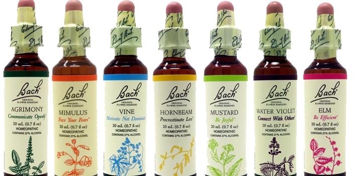 The Gentle Path to Inner Harmony: Exploring the Benefits of Bach Flower Remedies by Dr. Bach