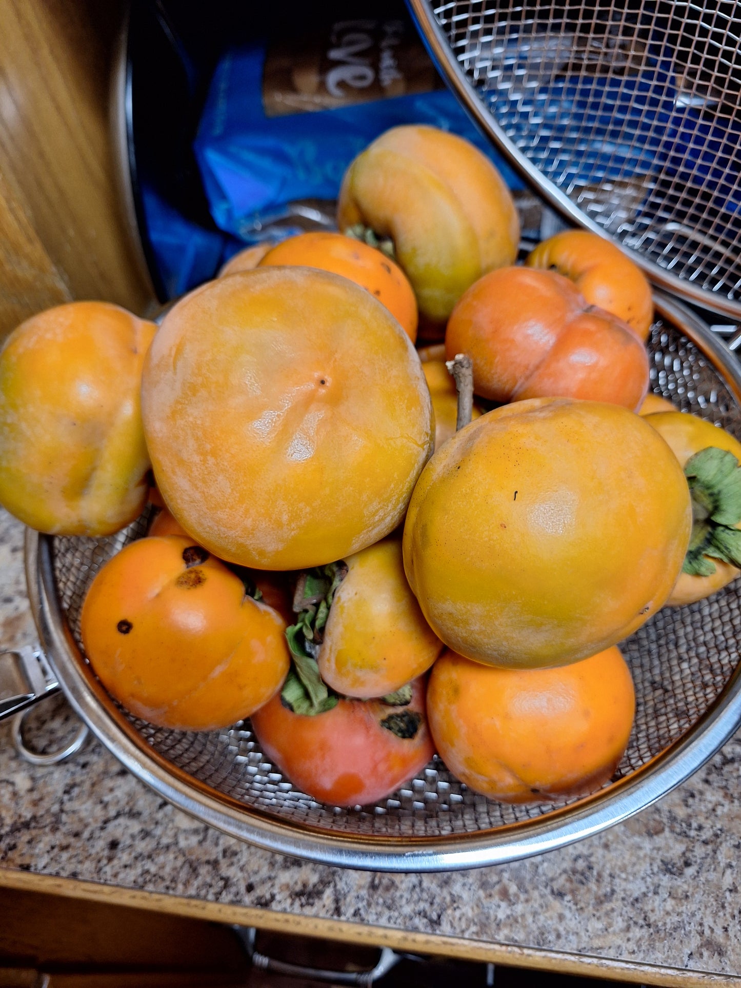 Persimmons