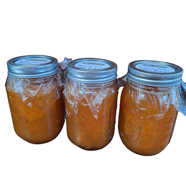 Persimmon Shrub Oxymel