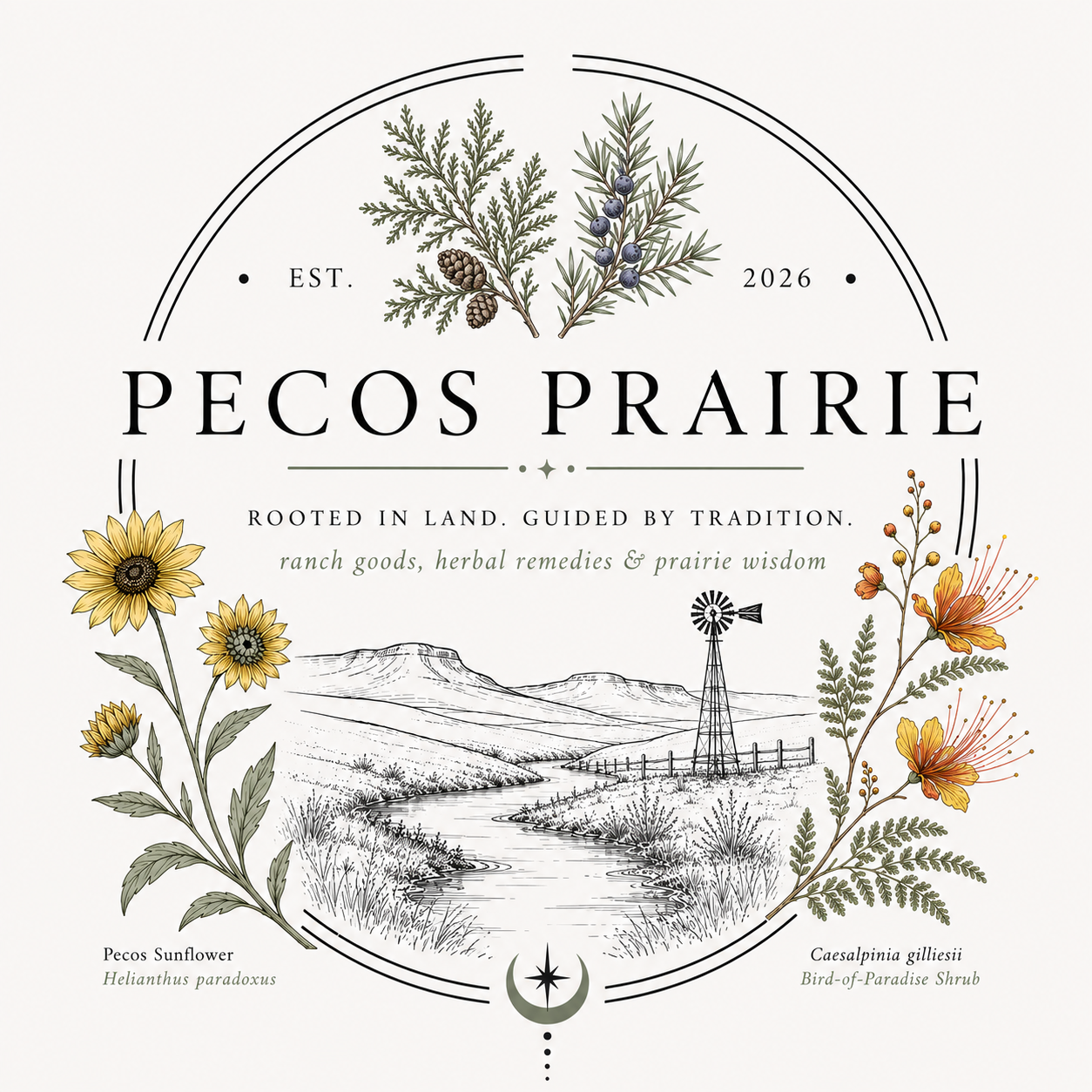 Pecos Prairie