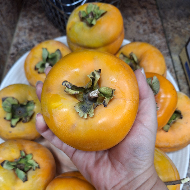 Hand holding a persimmon over a plate of persimmons on a wooden surface