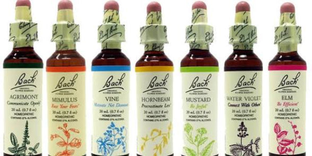 Bach flower remedies bottles arranged in a row on a white background