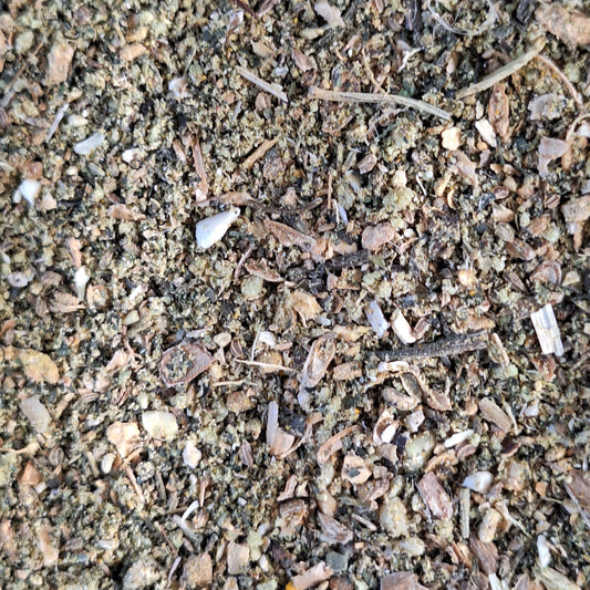 Golden Current Tisane