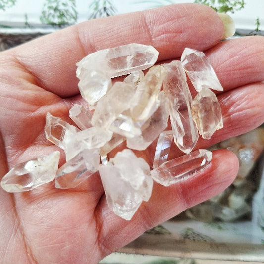 Hand holding clear crystal points with a blurred natural background